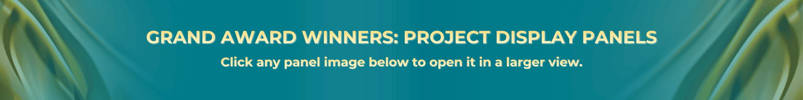 EEA Gala Award Graphic - Dark Teal (1)